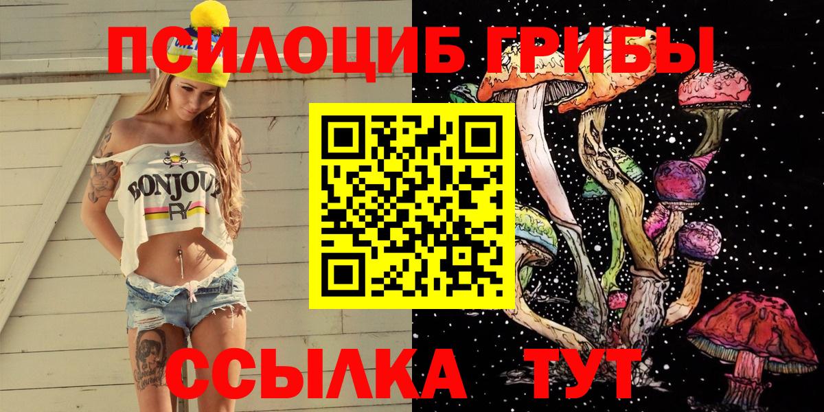 Ставрополь  дарнет шоп  Вход с VPN  Псилоцибиновые грибы Psilocybine cubensis 