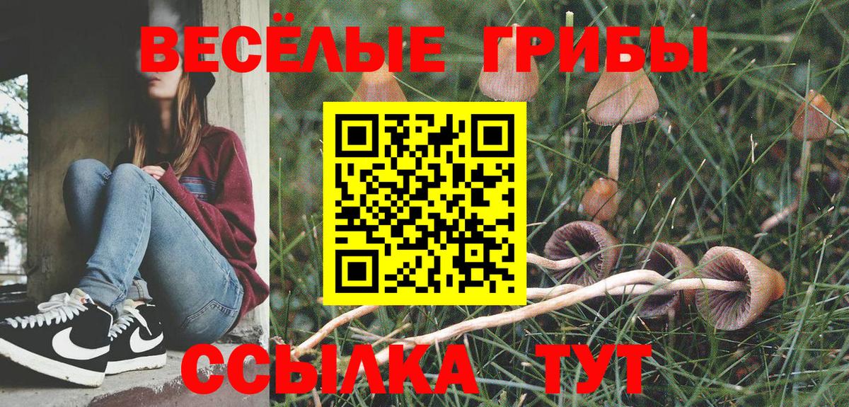 Галлюциногенные грибы Psilocybine cubensis Ставрополь